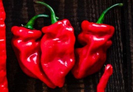 HERBA HUMANA - Piment Cabris - 17g