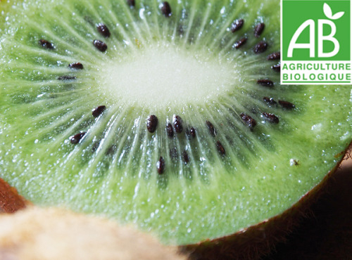Mon Petit Producteur - Kiwi Hayward Vert Bio [la Pièce De 90g]