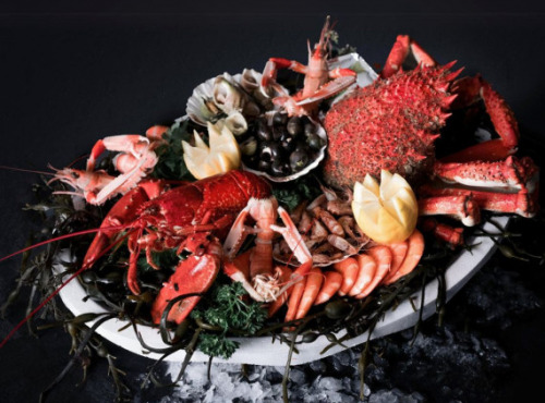 Luximer - Plateau de Fruits de Mer frais Le Royal de Bretagne - 2 Personnes