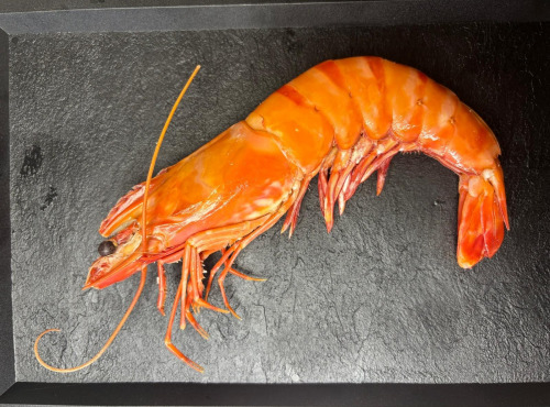 L'atelier des poissonniers - Gambas de Madagascar Sauvage