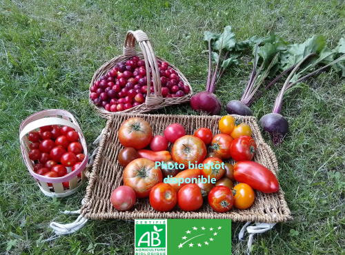 LES JARDINS DE KARINE - PANIER modulable de fruits et légumes ROUGES d'AUTOMNE