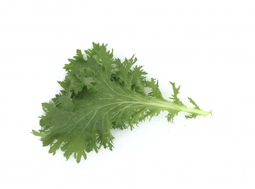 Agriloops - Wasabina Agriloops - 150 g