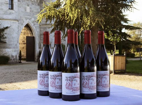 Bonas Lisse Vignoble - Marquis de Bonas Rouge 2016 - IGP Agenais x6