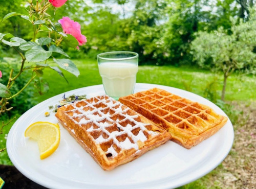 Ferme Sereine en Périgord - lot de 12 GAUFRES recette de BRUXELLES, déjà cuites, surgelés