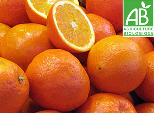 Mon Petit Producteur - Orange Valencia Calibre 8