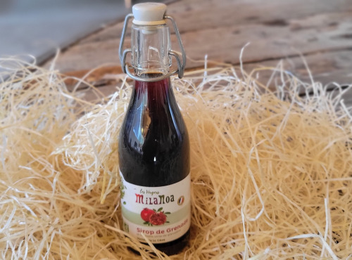 Les Jardins de Gérard - Sirop de Grenade Bio - 25cl