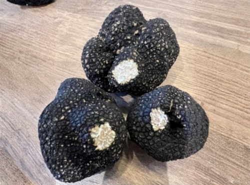 JMC Truffes - Truffes fraîches d'été tuber aestivum 100 G