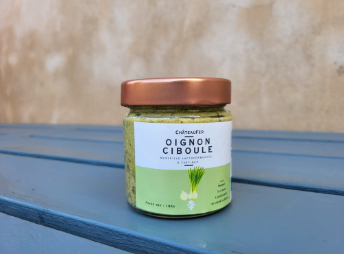 ChâteauFer - Lactofermentation -Tartinade d'oignon ciboule