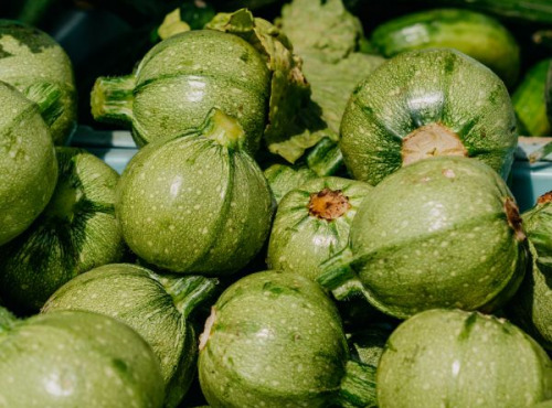 ChâteauFer - Courgette Ronde 1kg