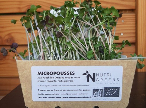 Ma Micropousse culinaire - Micro pousses Mix Punch bio 4 barquettes