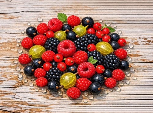 Nature et Saveurs - Ferme Aquaponique et Permacole Astérienne - Petits fruits gourmands en mélange