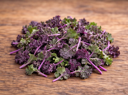 Nature et Saveurs - Ferme Aquaponique et Permacole Astérienne - Jeunes feuilles de kale violet — couleur et douceur végétale