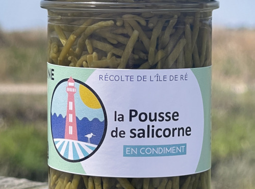 Rivesaline - Terre Saline - Pousse de salicorne au vinaigre Bio 80g