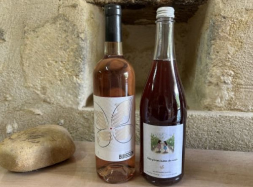 Domaine du Buisson - Cocktail fruité- Lot de 2 bouteilles