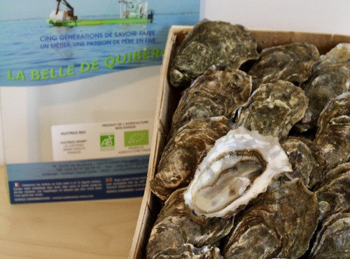 Huîtres Henry - 100 Huitres creuses BIO "La Belle de Quiberon" calibre 4 - 6kg