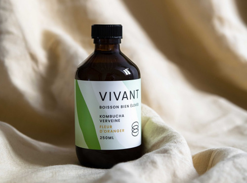 Vivant Kombucha - Kombucha Verveine Fleur d'oranger Bio x12