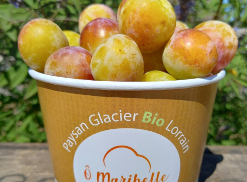 O Maribelle - Mirabelles de Lorraine BIO - 7kg