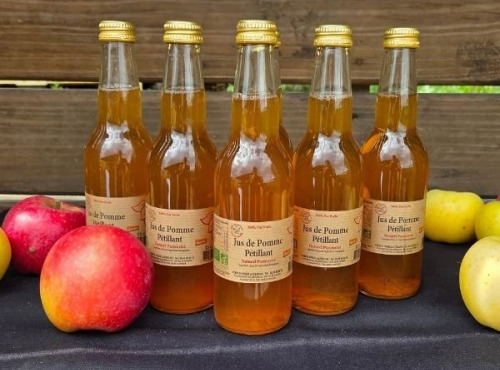 Le verger bio de Quinsac - lot de 6 Jus de pomme pétillant 33cl BIO et DEMETER