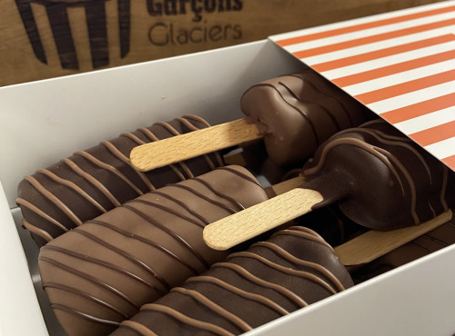 Les Garçons Glaciers - Lot de 8 Eskimauves Chocolat Au Lait BIO