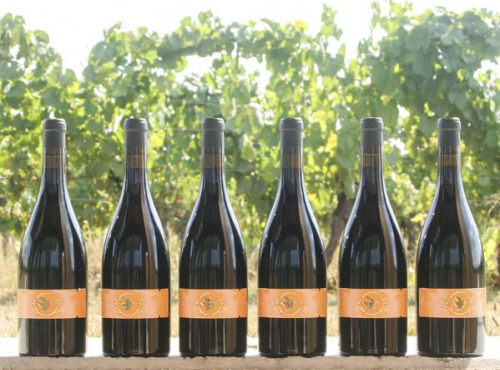 Domaine la Paganie - Vin rouge de Cahors élevé en amphore – La Terre – 6 bouteilles