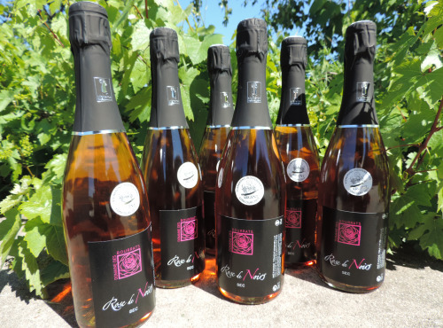Domaine des Bourrats - Méthode Traditionnelle Rose de Noirs - 6 Bouteilles