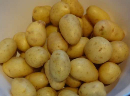 La Ferme du Bois Ramard - Pommes De Terre Grenaille En Conversion Bio 1 Kg