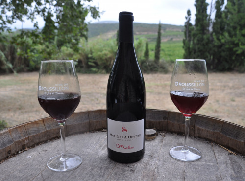 Mas De La Devèze - Côte du Roussillon AOP - Malice Rouge 2022 x6