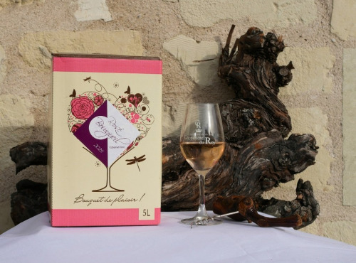 Domaine de la Chopinière du Roy - BIB de Rosé Sec et Fruité 2025 - 5 Litres