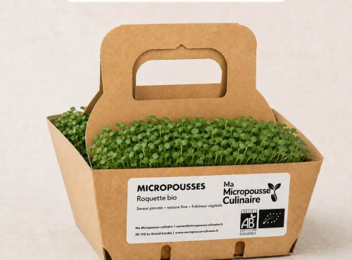 Ma Micropousse culinaire - Micro-pousses bio de roquette