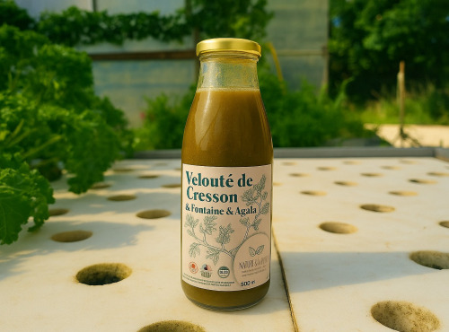 Nature et Saveurs - Ferme Aquaponique et Permacole Astérienne - Velouté de Cresson