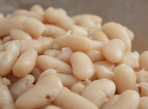 L’Oliveraie du Coudon - Haricots Blancs – Pot 540g