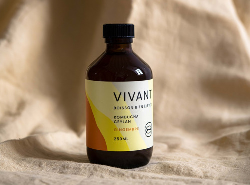 Vivant Kombucha - Kombucha Thé Ceylan Gingembre Bio x6