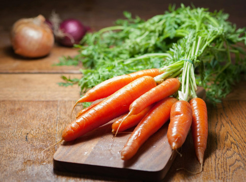 Nature et Saveurs - Ferme Aquaponique et Permacole Astérienne - Carotte orange longue – Le légume racine par excellence