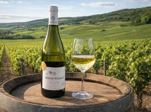 Domaine ROUX-GROS - Mâcon Villages "Terroir de Farges" 2023 - AOP 6x75cl