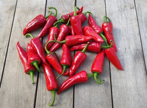 HERBA HUMANA - Piment Goria 3kg
