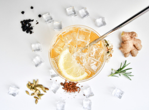 Necense - Préparation Tonic Maison