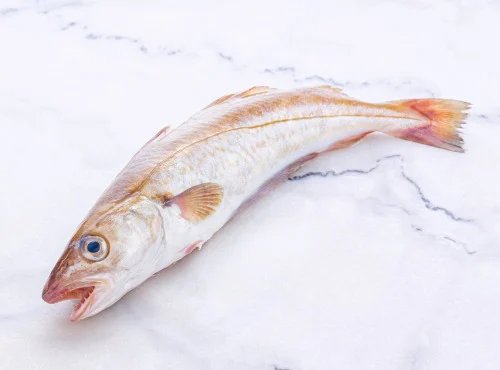 Poissonnerie La Piriacaise - Merlan entier 1 kg