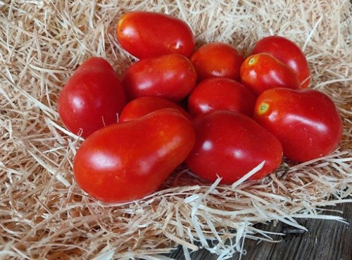 Les Jardins de Gérard - Tomate Roma Bio - 3 kg
