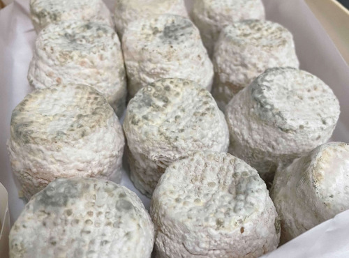 La Guyotte Ferme Bressane - Le cabrion -  fromage de chèvre sec par 12