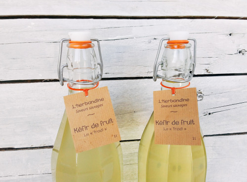 L'herbandine - Kéfir de Fruit, « le Tradi » - 2L