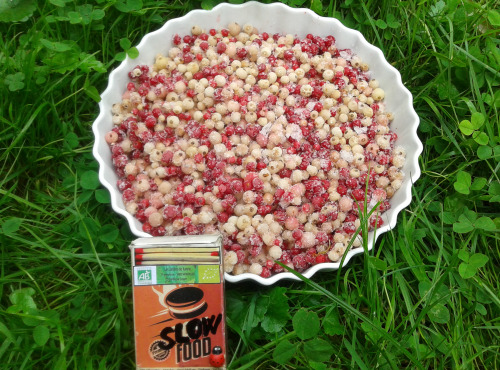 LES JARDINS DE KARINE - Groseilles rouges et blanches surgelées - 500g