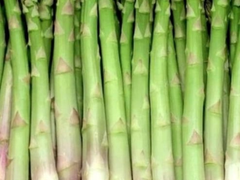 L’Oliveraie du Coudon - ASPERGE VERTE (TAILLE 20 et PLUS) 1KG