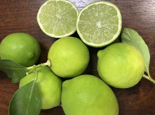 Les Hespérides - Coopérative de la Riviera Française - Lime de Tahiti 5kg