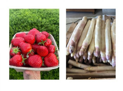 Domaine Reverchon - Lot : 2kg Asperge blanche + 1kg fraise Clery