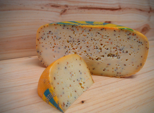 Fromagerie Beauséjour - Gouda à la moutarde, entier 2,5kg