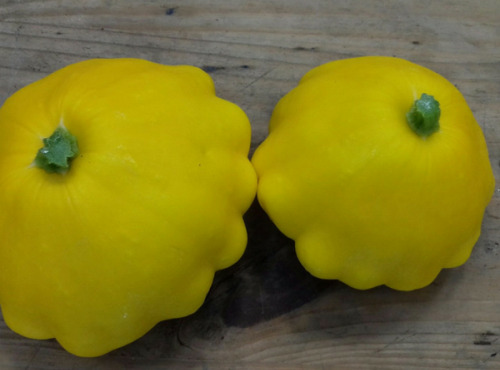 Multiproductions - Cédric Joliveau - Pâtisson jaune 1 kg