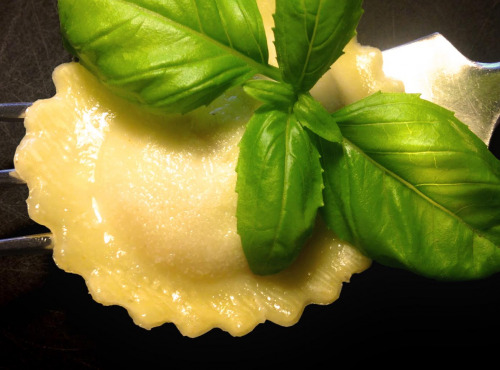 Les Pâtes Côté Mont Blanc - Lot De 7 Barquettes : 5 De Raviolis Et 2 Pâtes Fraiches