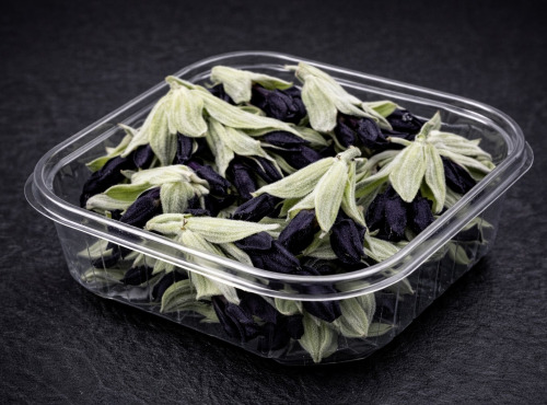 Nature et Saveurs - Ferme Aquaponique et Permacole Astérienne - Fleurs de sauge cassis – intensité végétale et contraste unique