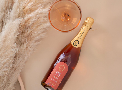 Maison Goubet - Cuvée pétillante BIO & sans alcool • cépage Cabernet-Sauvignon 750ml