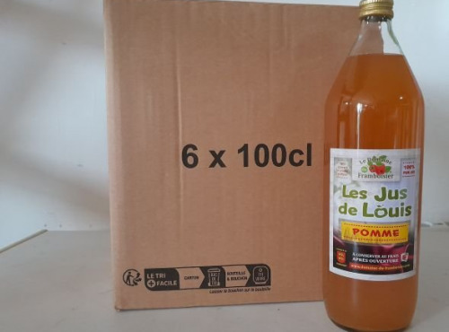 Le Domaine du Framboisier - Les Jus de Louis Pomme 100% Pur Jus 6 x 1L